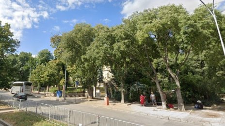 Джебчии атакуват туристите до Археологическия музей във Варна