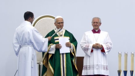 Папа Лъв призовава френските епископи да &bdquo;се борят&ldquo; срещу сексуалното насилие от Църквата 