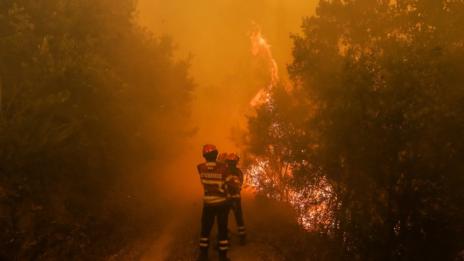 Пожари опустошават Алгарве в Португалия