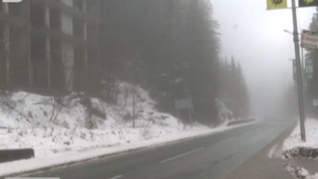 В Родопите заваля сняг