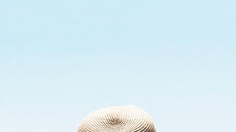 Кои са слабостите на всеки от нас според зодията? (II част) 