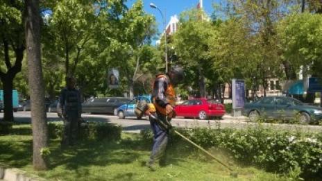 Започна косенето на тревните площи във Варна
