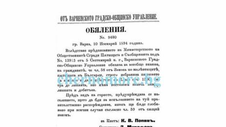 Заповед забранява да се пасат животни край ЖП линията