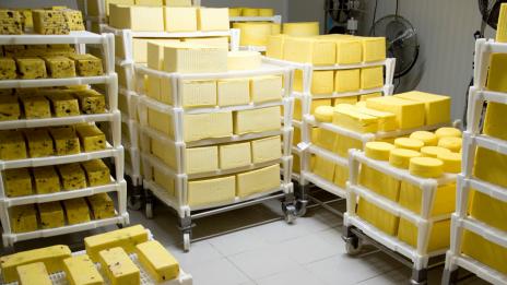 Мандрите имат 1 месец, за да изчистят инсталациите си от палма