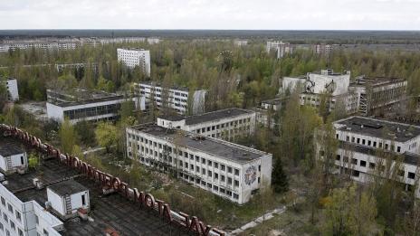 Гъби, "ядящи" радиация пъплят по взривилия се реактор в Чернобил