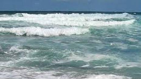 Днес е Международният ден на Черно море