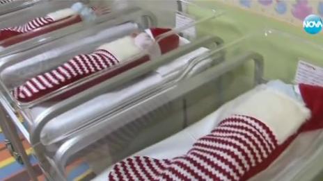 Обличат новородени в коледни чорапчета