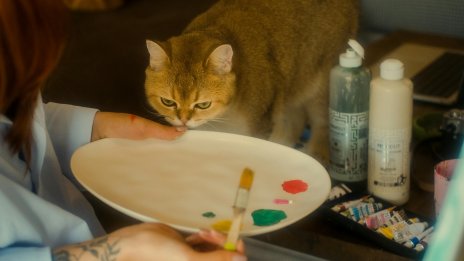 Виц на деня - 29 ноември