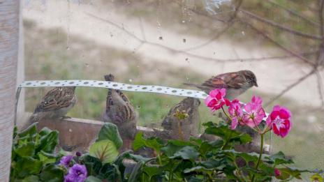 Утре над Черноморието остава облачно, но валежите спират