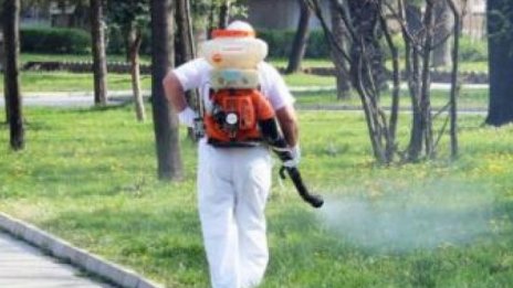 От понеделник започват да пръскат срещу комари във Варна