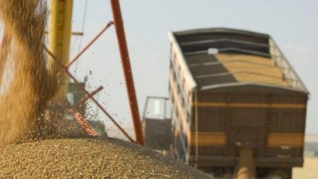 Пшеницата на привършване. Можем ли да си позволим самун от 6 лв.?
