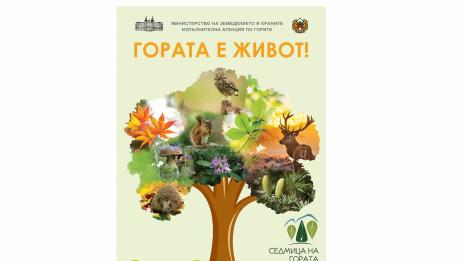 Деца стават лесовъди за ден