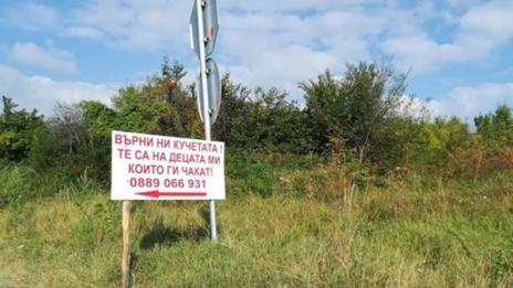 Отчаян призив: Баща търси откраднатите кучета на децата му