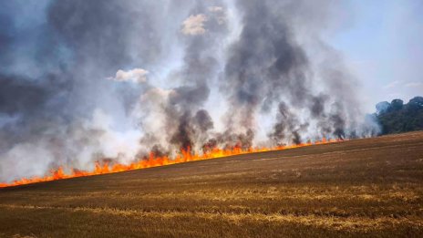 Властите апелират за висока бдителност заради повишения риск от горски пожари