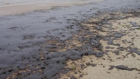 Около 10 дни ще продължи проверката на корабите във Варненския залив за разлива на мазут