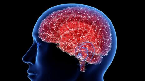 Кои храни вредят на мозъка?