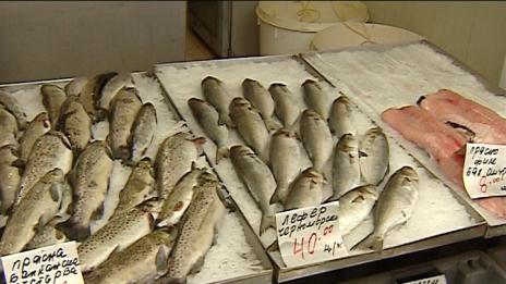 "Щрихи от утрото" (6.12.2016) - Каква риба купуваме за Никулден? 