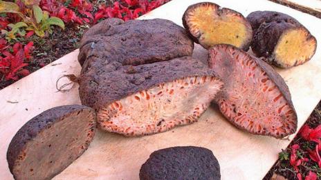 Любимият деликатес на чукчите - Копальхен