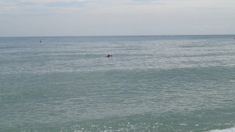 РЗИ-Добрич: Водата на плажовете от от Дуранкулак до Кранево е чиста