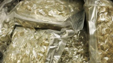 Съдят македонци, опитали да пренесат през граница марихуана за 165 000 лв.