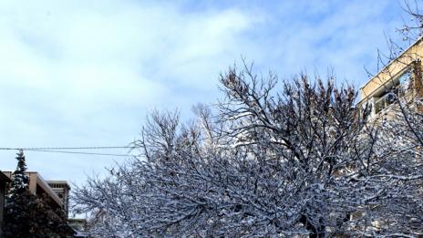 Очаква ни сняг през новата седмица