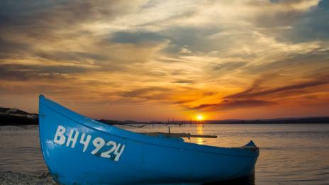 Морето ври от риба, рибарите на брега заради лошото време