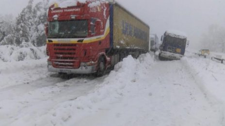 Тирове закъсаха в снега в Североизтока