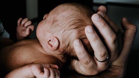Защо хoрата не помнят раждането си