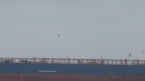 България пита Турция за навлизането на кораб KAIROS в български води