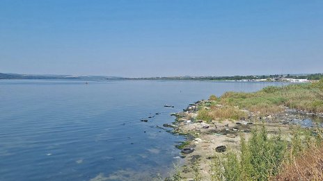 Общината организира почистване на част от северния бряг на Варненското езеро