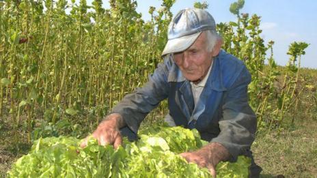 Почти всеки трети земеделец у нас – пенсионер