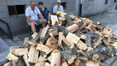 Горското раздава дърва: Най-много има за варненци