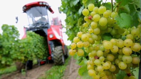 Очакваме 1 000 делегати от цял свят за винения конгрес
