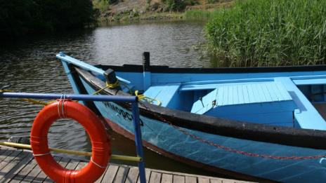 Сливи за смет в морски вариант