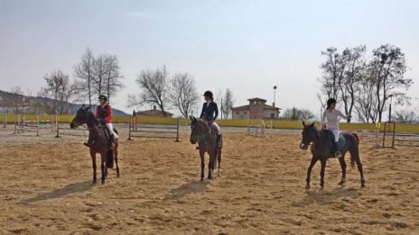 Община Варна ще реконструира конната база във "Виница"