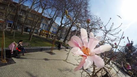 На 8 март времето ще бъде ясно и слънчево