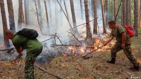 Пожарът в Родопите се разраства