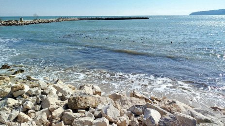 Горещо време в почти цяла България днес