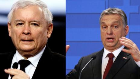 Новият съюз за "крадене на коне" тревожи Брюксел 
