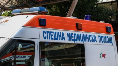 Жена повика Спешна помощ за "нападнато от мечка момче"