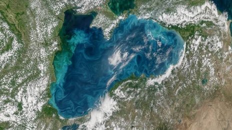 Черно море не е това което беше! Над 80 нови вида навлизат заради затоплянето