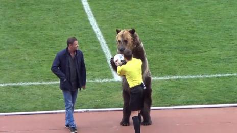 Мечка даде началото на футболен мач в Русия