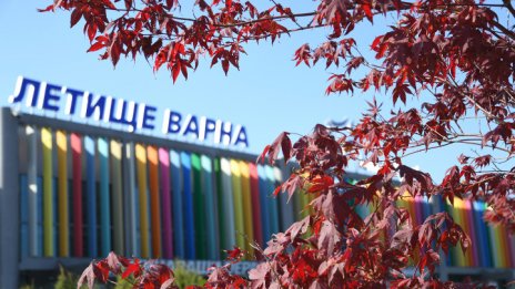 Отмениха полета за Тел Авив от Варна
