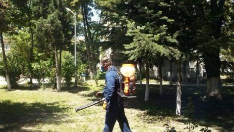 Обработват парковете във Варна срещу кърлежи