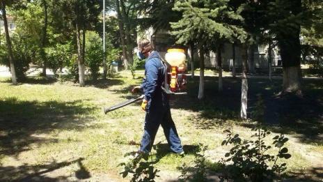 Продължава пръскането срещу кърлежи във Варна