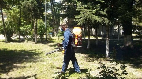 Двукратно са обработени против кърлежи Морската градина и парковете във Варна