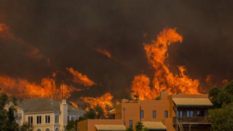 Знаменитости избягаха от домовете си заради пожара в Калифорния