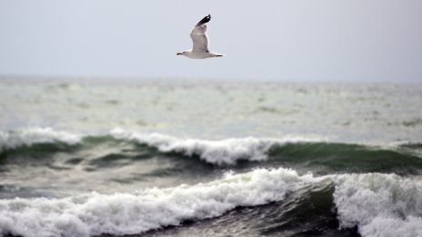 Времето днес във Варна: Много облаци и периодични превалявания