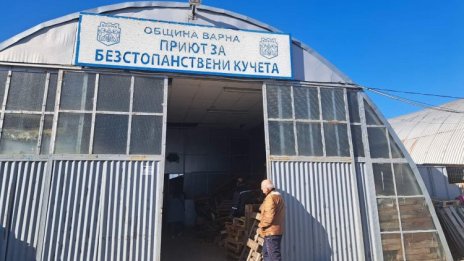 Организират Ден на любовта в общинския приют за кучета в Каменар