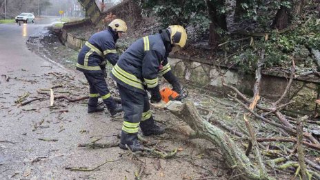 Лошото време остави без ток десетки населени места във Варненско